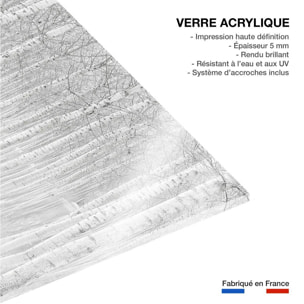 Tableau nature perspective trees Tableau plexiglas