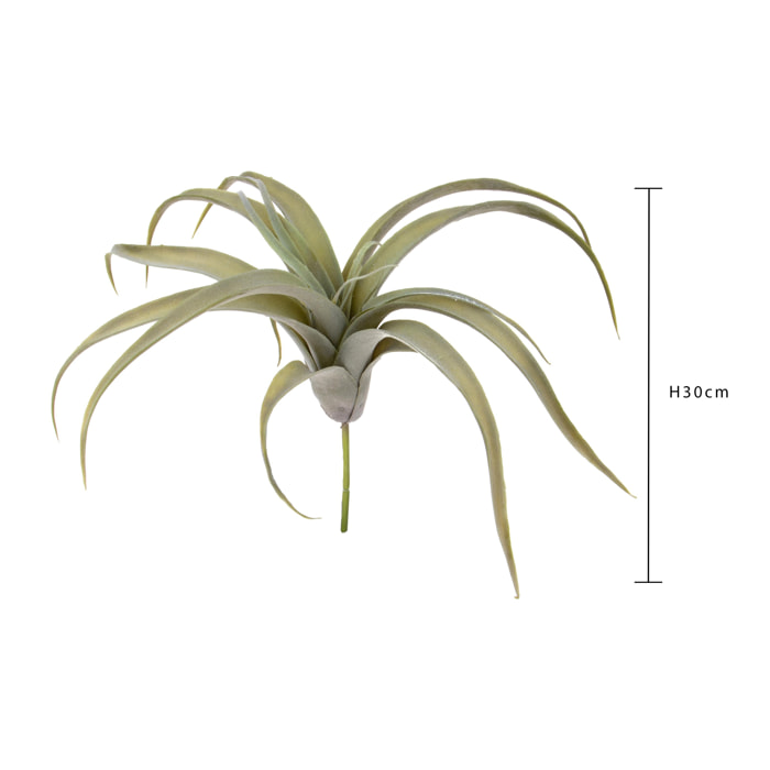 Tillandsia Per 19 30 Cm - Pezzi 3 - 10X30X10cm - Colore: Verde - Bianchi Dino - Piante Artificiali