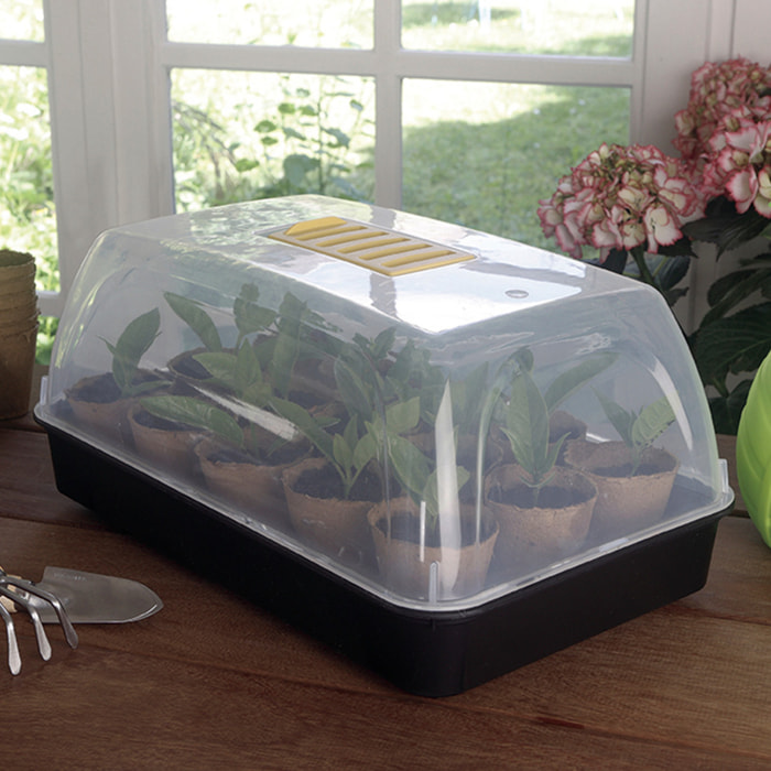 Mini Invernadero Para Semillas Rapid Grow 38x14x19 Cm