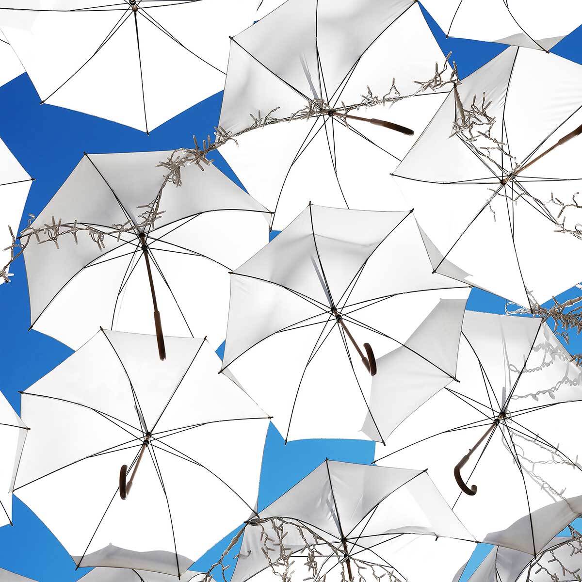 Affiche poster ombrella Affiche sous cadre bois