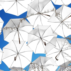 Affiche poster ombrella Affiche sous cadre bois