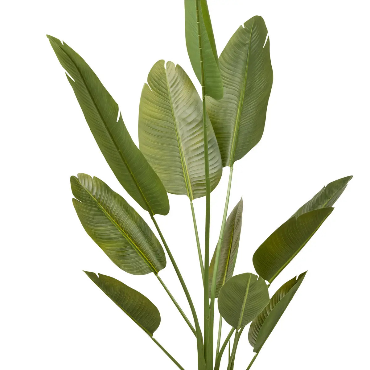 Bananier artificielle 3 troncs Lora H200cm