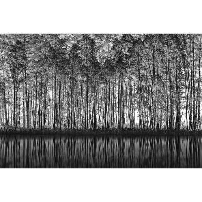 Tableau nature pointillisme Tableau plexiglas