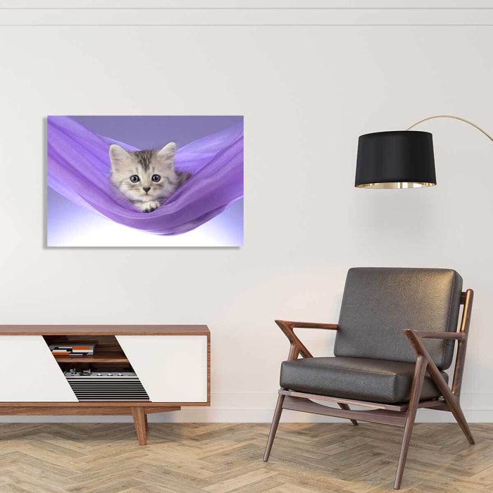 Tableau animaux chat  Toile imprimée