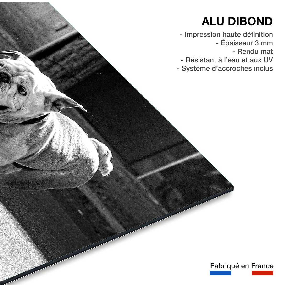 Tableau animaux skate dog  Tableau alu Dibond