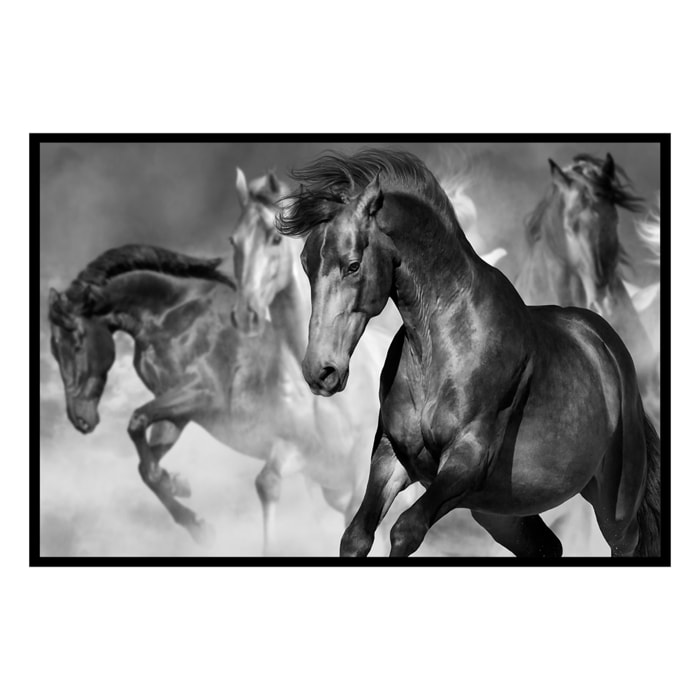Affiche encadrée chevaux noirs artistiques Affiche + cadre en métal - Noir