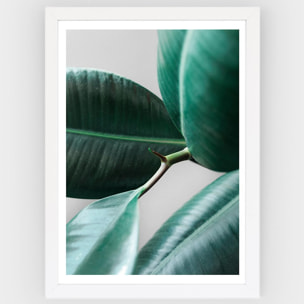 Poster Leaf