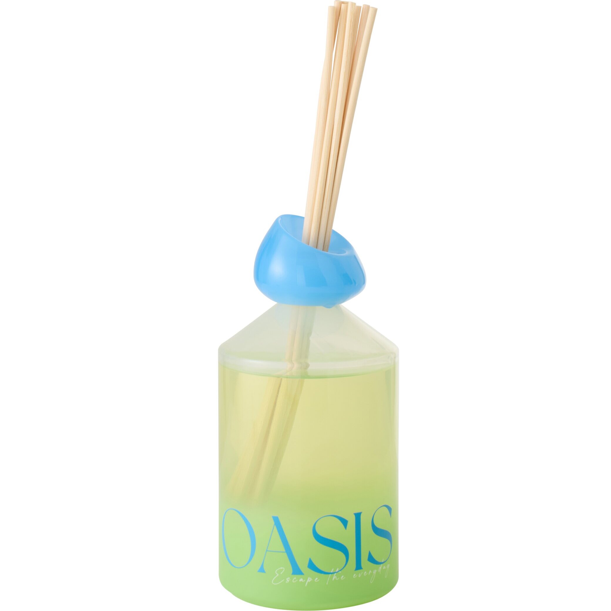 J-Line Bâtonnets parfumés Oasis Solvant - Spring Ivy & Nerolia - verre - bleu/vert - large