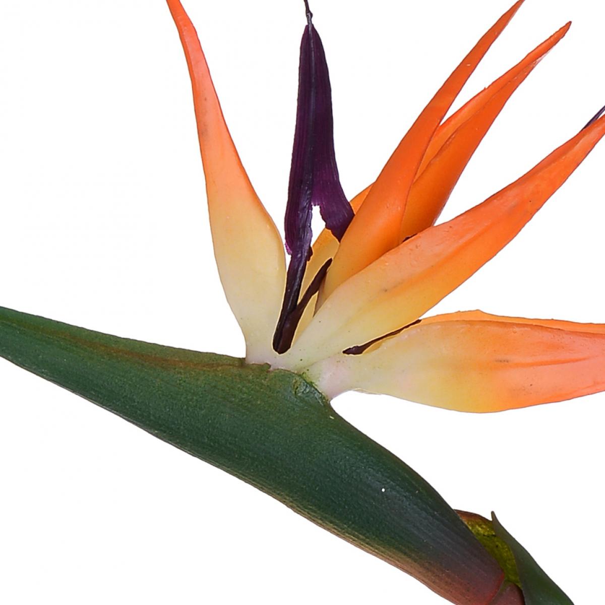 Strelitzia. Altezza 85 Cm - Pezzi 4 - 24X85X3cm - Colore: Arancio - Bianchi Dino - Fiori Artificiali