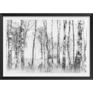 Affiche paysage bouleaux Affiche + cadre en bois - Noir