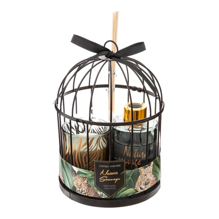 Coffret cadeau cage "Jungle" - vanille exotique - orchidée sauvage