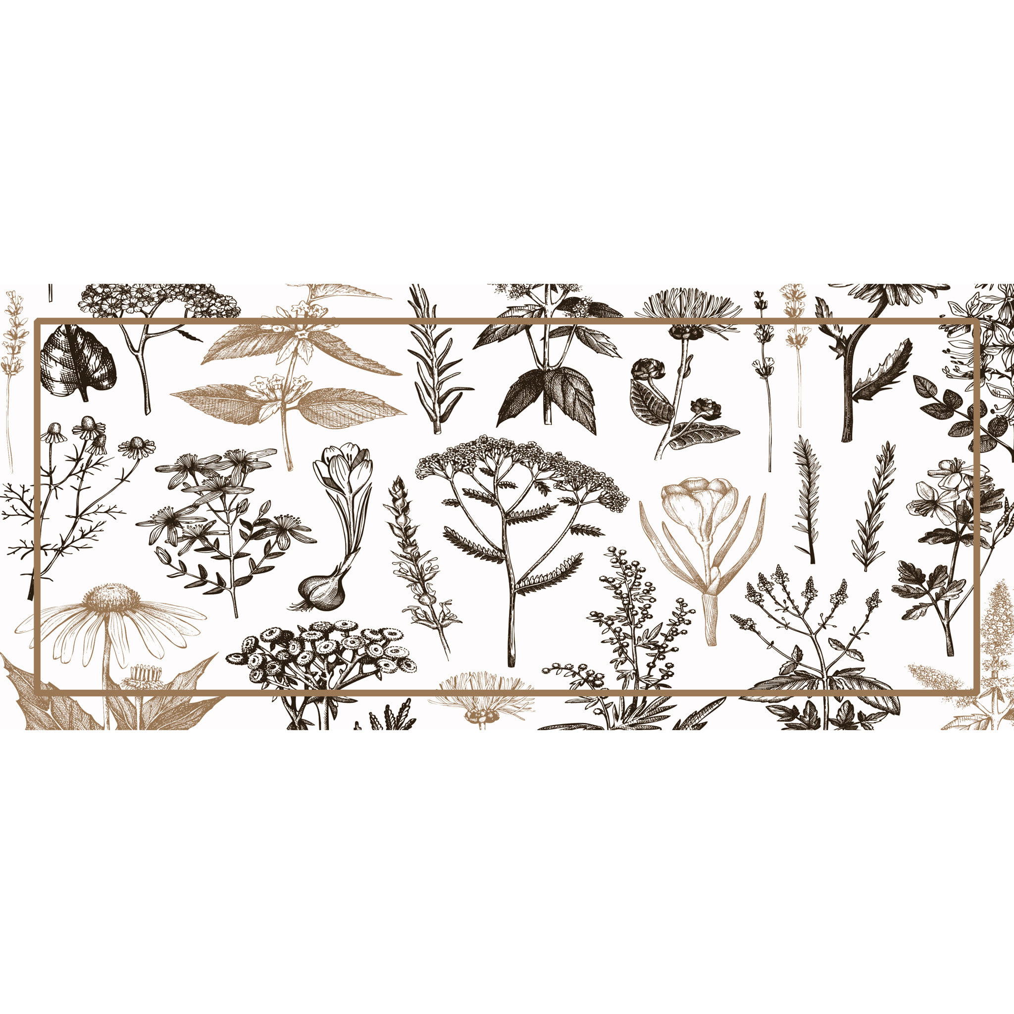 Alfombra de vinilo CERAMIKO, Plantas medicinales sepia 66x150 cm