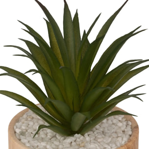 Plante artificielle "Sao" marron H17cm