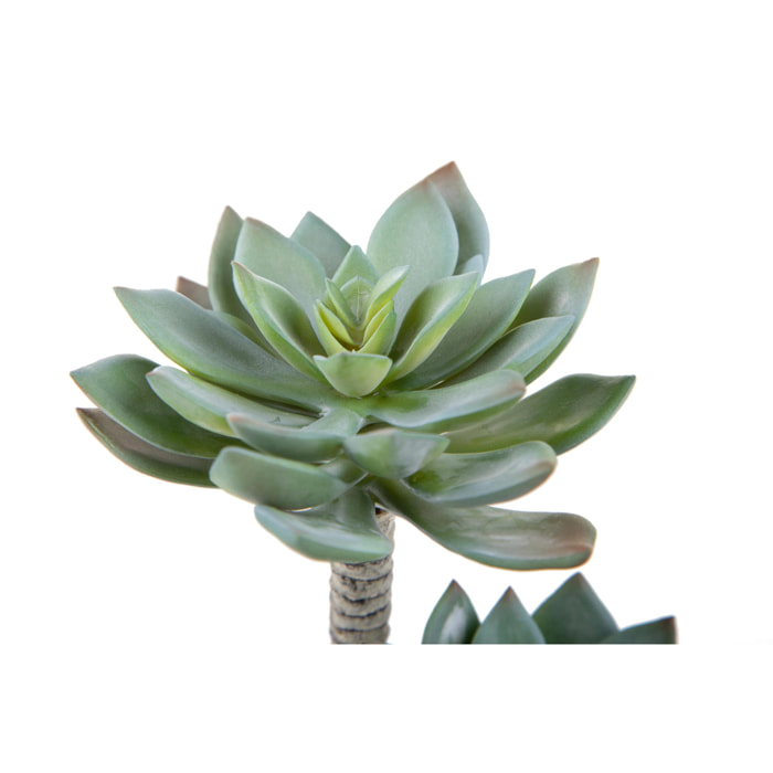 Succulent A 2 Diramazioni. Altezza 22 Cm - Pezzi 4 - 22X8X12cm - Colore: Grigio - Bianchi Dino - Piante Artificiali