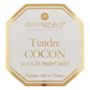 Bougie parfumée Elisa musc blanc transparent 200g