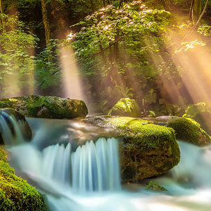 Affiche encadrée ruisseau en forêt baigné de lumière Affiche + cadre en métal - Noir