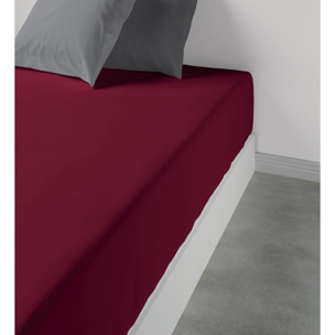 Drap Housse Coton 57fils Uni - Bonnet 35cm Grenat