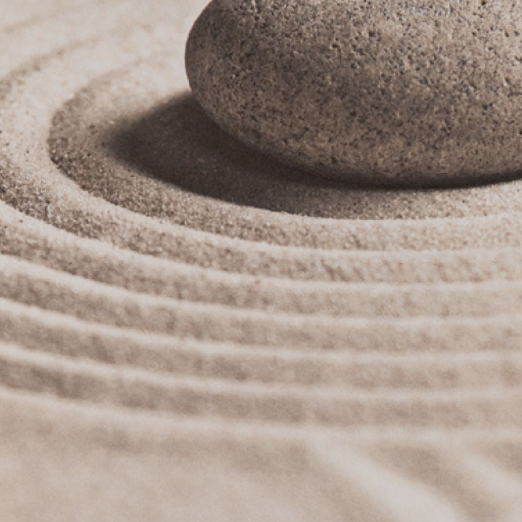 Abattant wood slim avec descente assistée style Feng-Shui - Crème