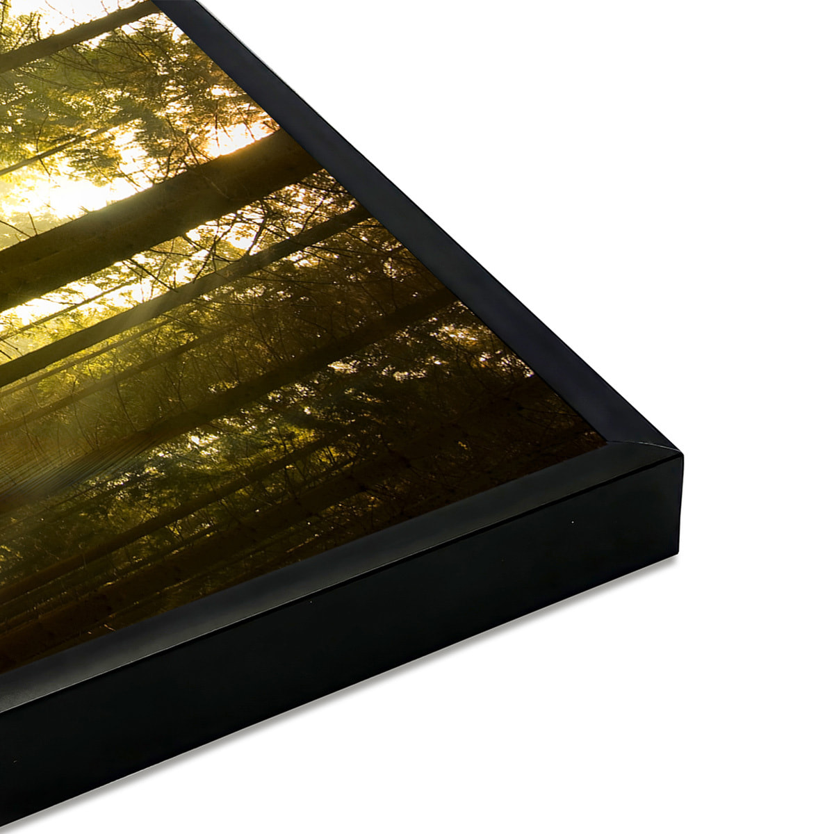 Affiche encadrée forêt baignée de lumière dorée Affiche + cadre en métal - Noir