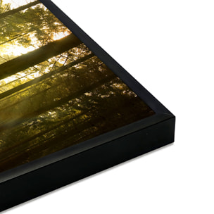 Affiche encadrée forêt baignée de lumière dorée Affiche + cadre en métal - Noir