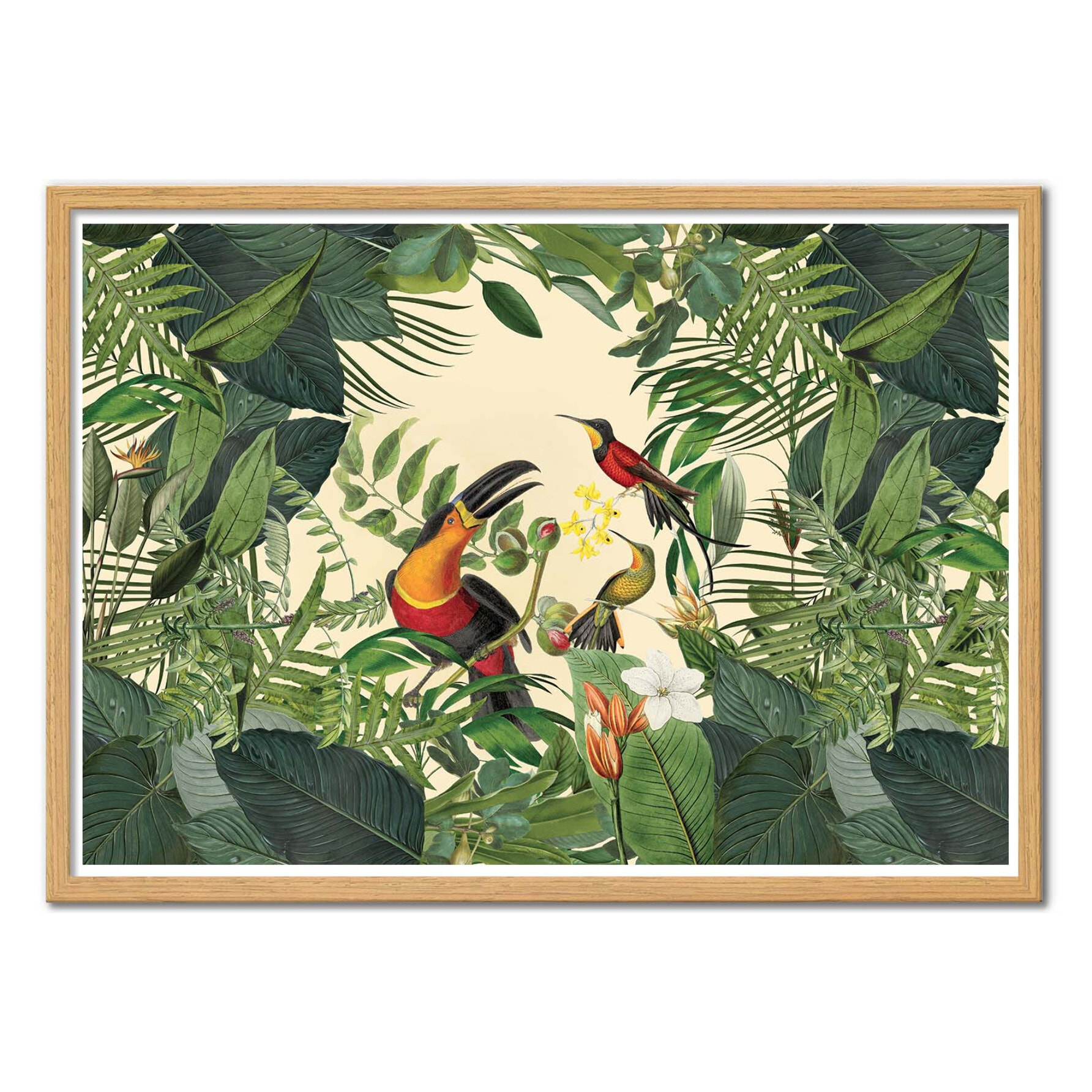 Affiche - Tropical Jungle Toucan - Andrea Haase
