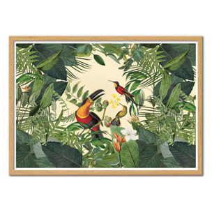 Affiche - Tropical Jungle Toucan - Andrea Haase