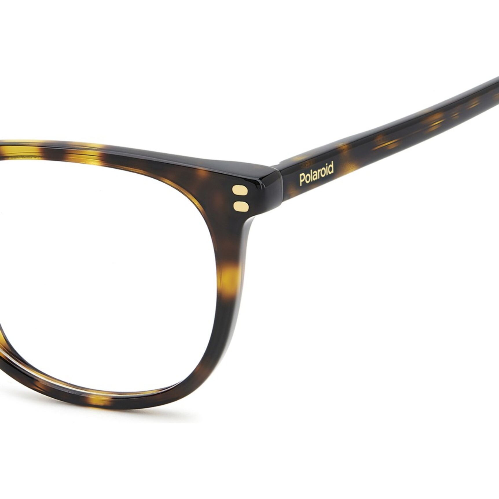 Gafas de Vista Polaroid PLD D609 086 de Acetato Hombre 51 mm