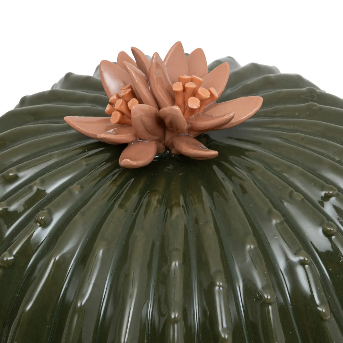 Cactus déco céramique H15cm vert de gris