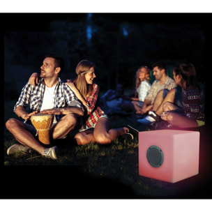 Cube enceinte ZIC CUBE 20