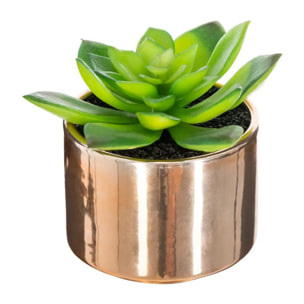 Plante verte pot céramique H.15