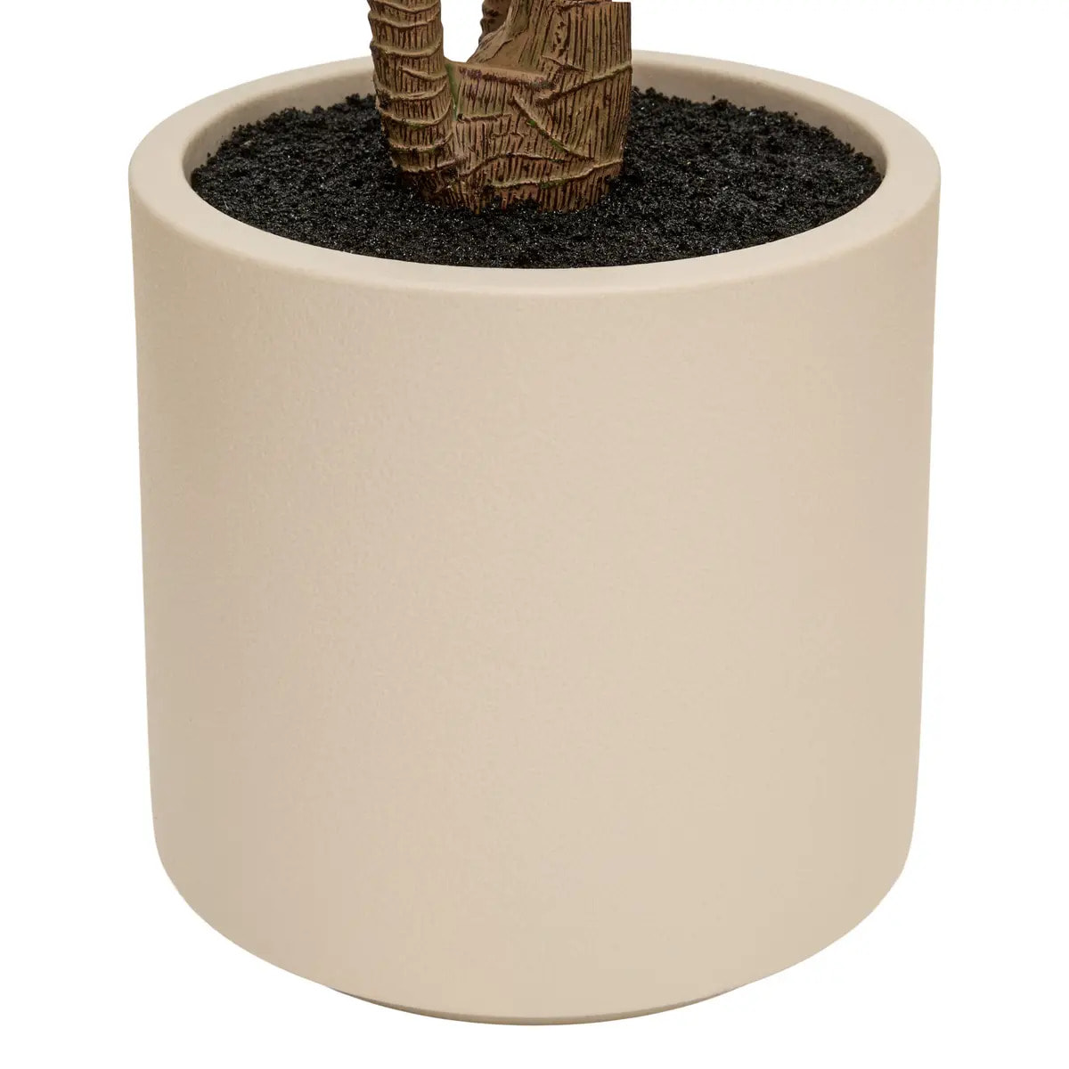 Dracena vert Edi H.180cm avec pot blanc