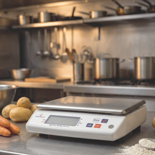 Balance électronique professionnelle - 10kg - IP53 - précision 1g - plateau amovible 22 x 16,5 cm