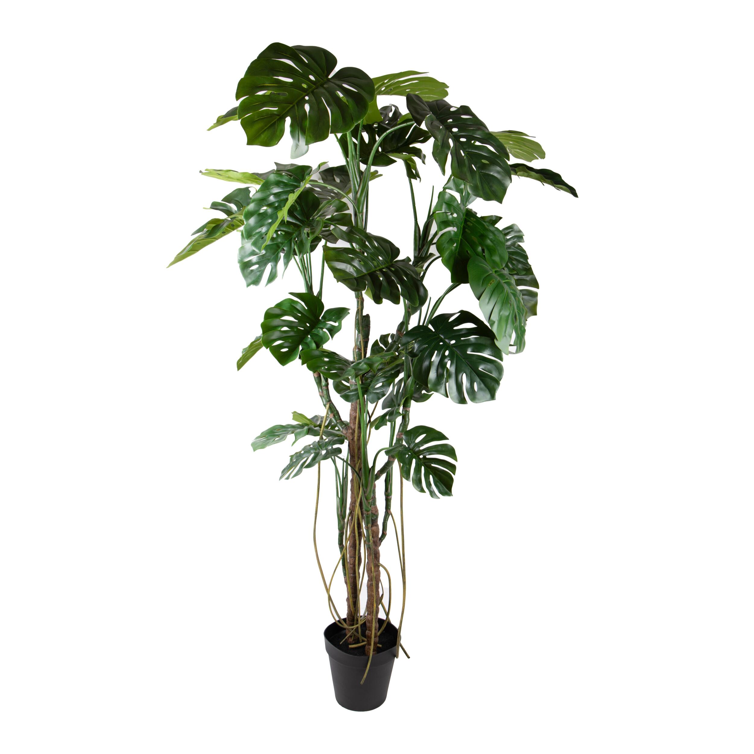 Monstera real touch - Pezzi 1 - Colore: Verde - Bianchi Dino