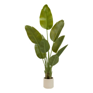 Bananier Artificielle Lora H140 cm avec Pot Blanc