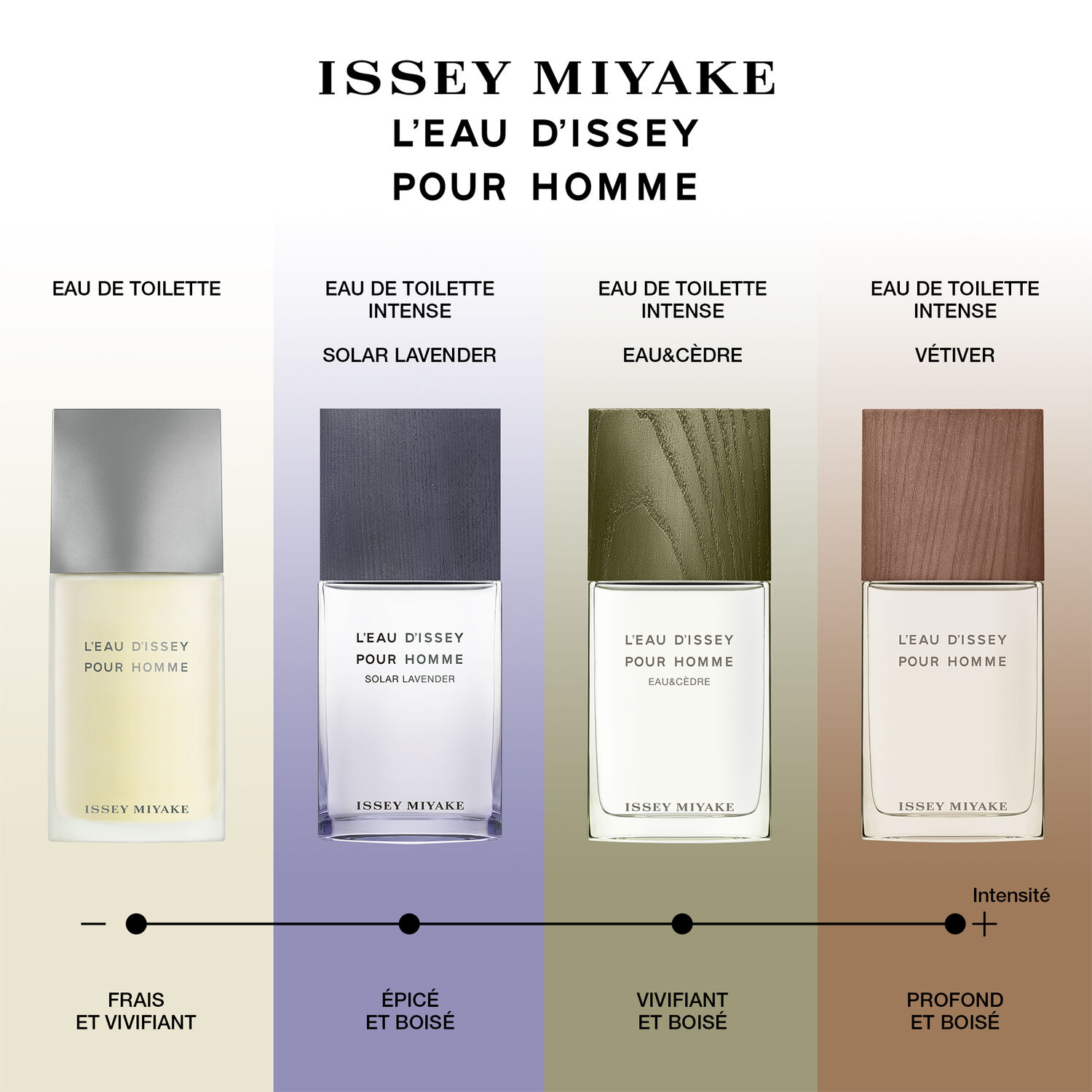 L'Eau d'Issey pour Homme Solar Lavender - Eau de Toilette Intense