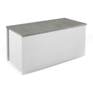 Baule Miltonia, Capiente box contenitore multiuso, Cassapanca moderna, 100% Made in Italy, Cm 90x45h45, Bianco e Cemento