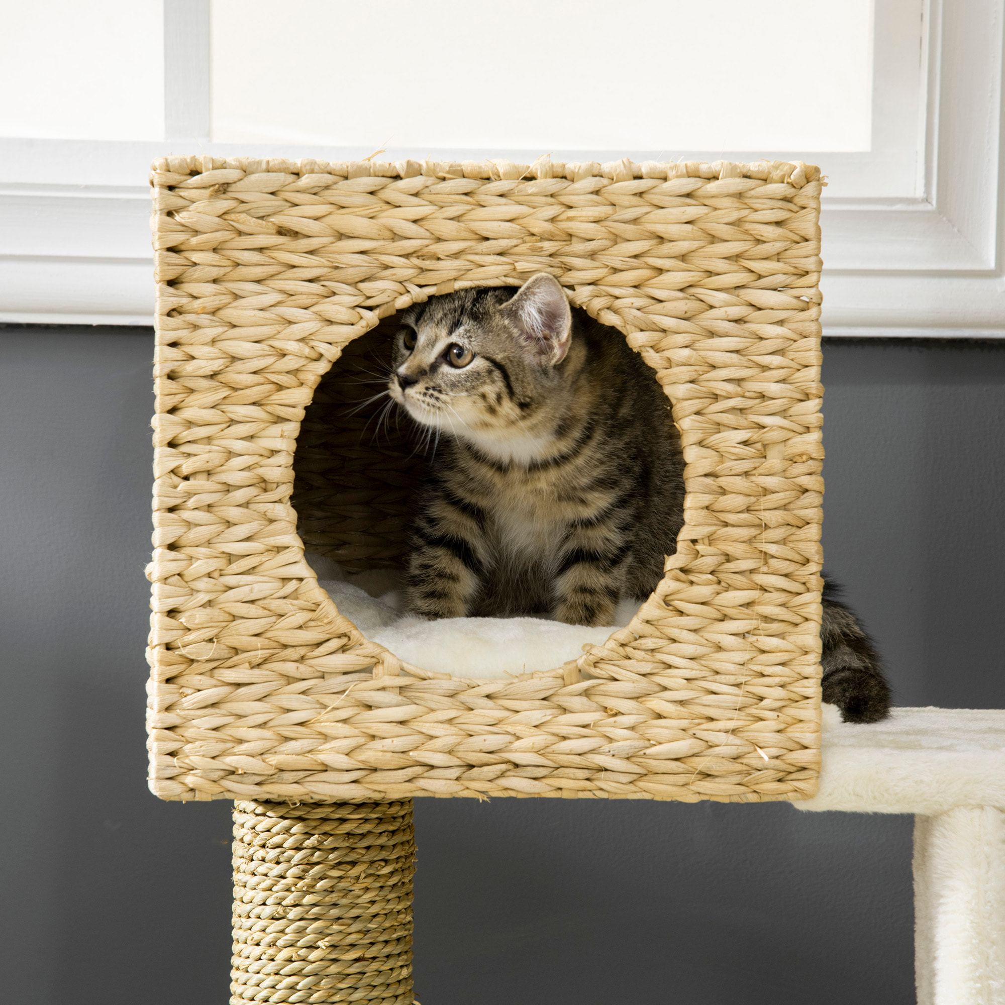 PawHut árbol Rascador para Gatos Medianos Altura 100,5 cm Torre para Gatos con Cama Superior y Cueva de Totora 2 Cojines 2 Postes Escalera 57x37x100,5 cm Natural