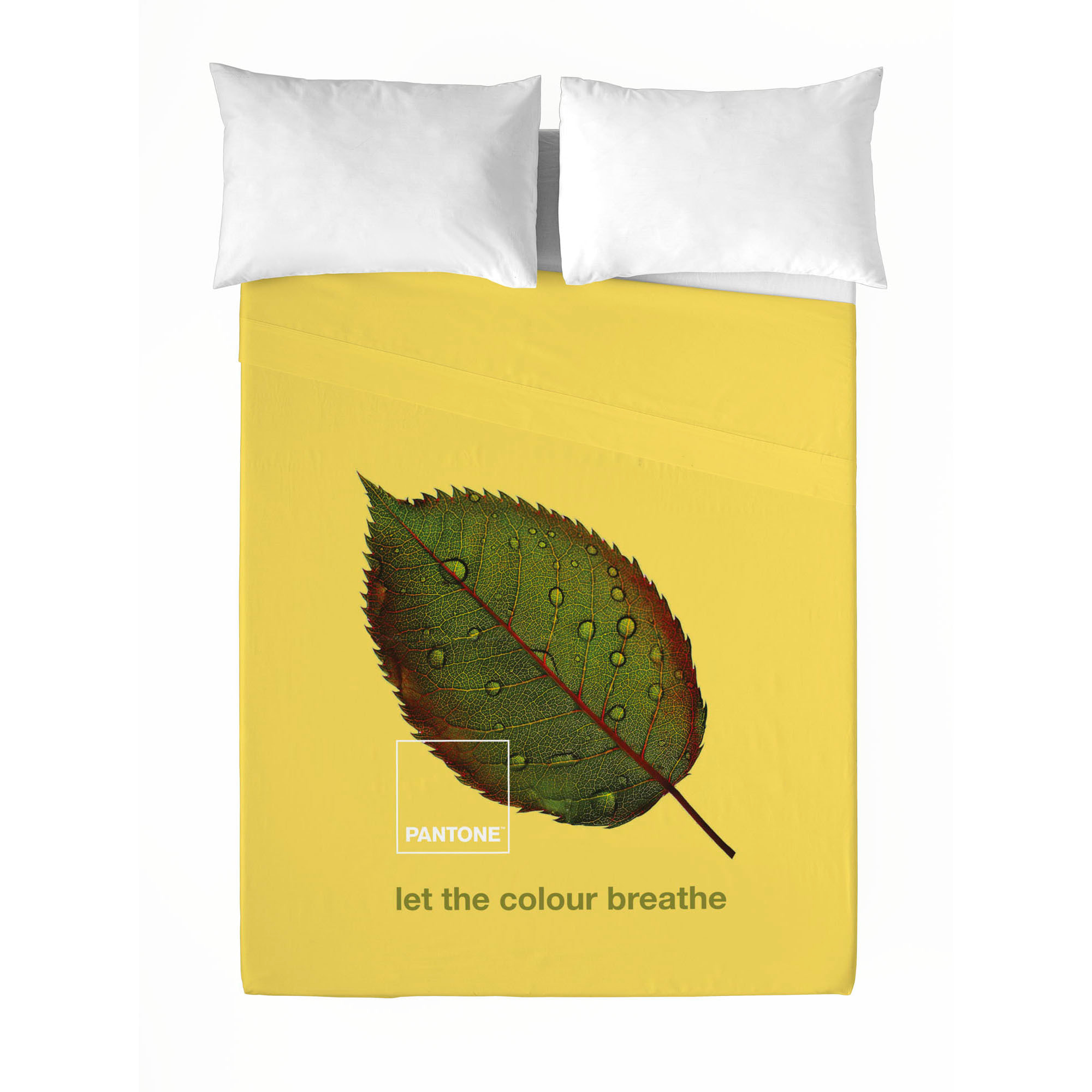 Pantone - Juego de Sábanas Estampadas - Incluye 1 o 2 Fundas de Almohada - 100% Algodón - Nature