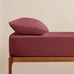 Drap-housse prune