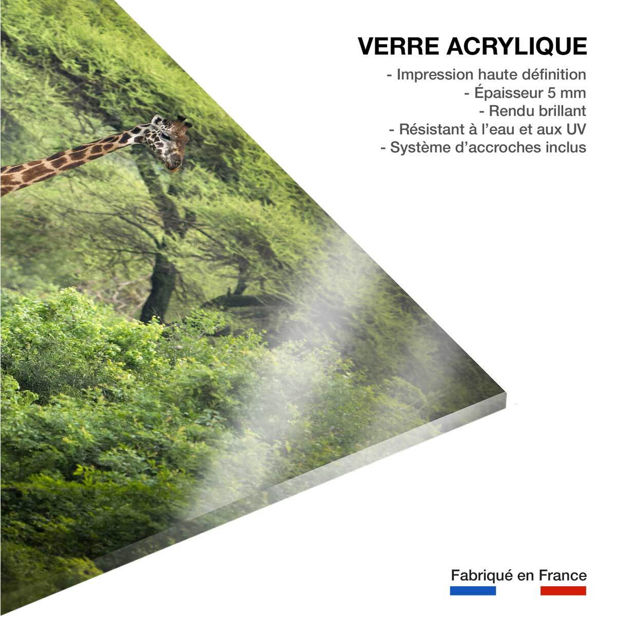 Tableau Girafe inattendue Tableau plexiglas