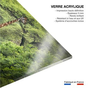 Tableau Girafe inattendue Tableau plexiglas