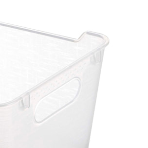 Caja de almacenaje de polipropileno, transparente