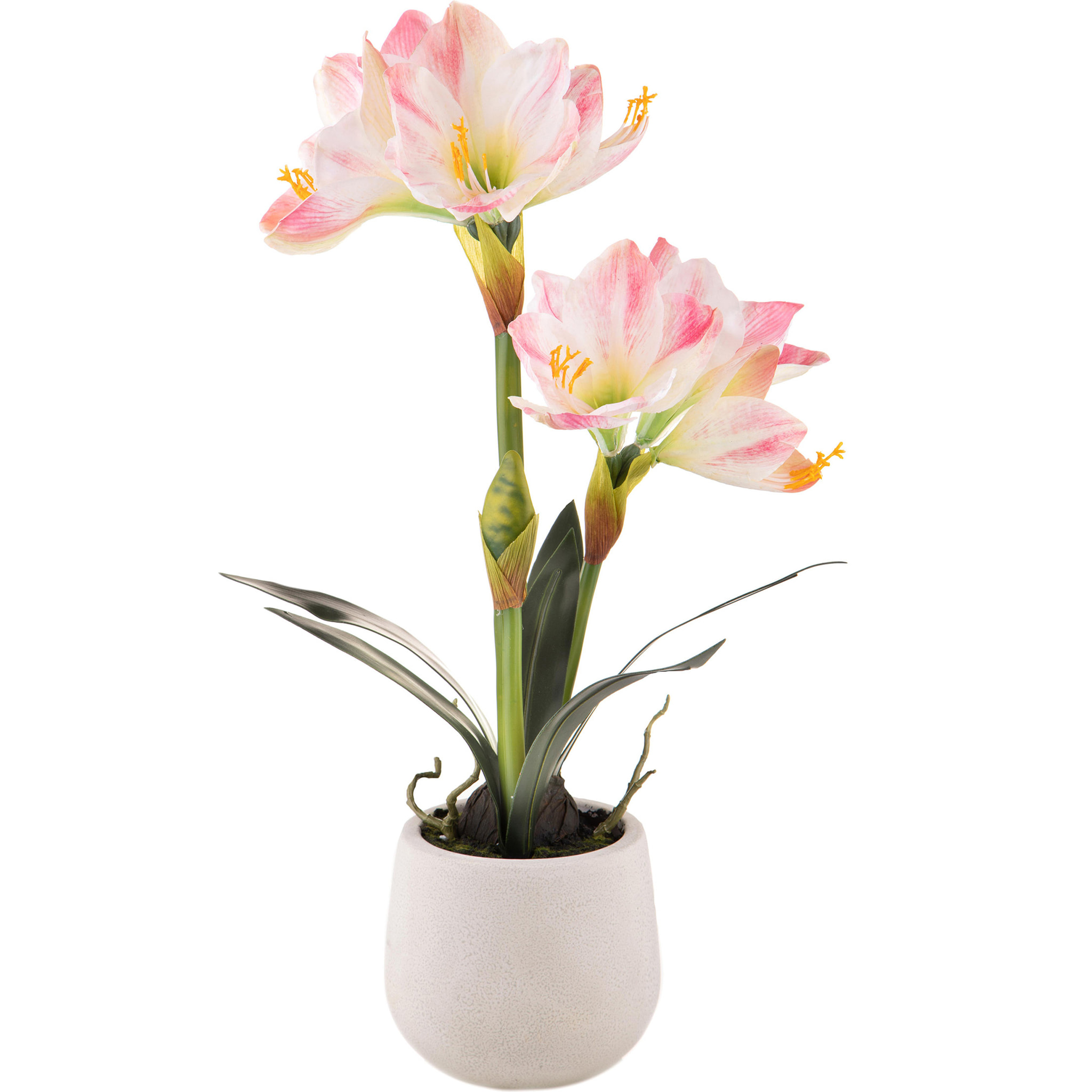 Amaryllis Con Vaso. Altezza 64 Cm - Pezzi 1 - 36X64X25cm - Colore: Rosa - Bianchi Dino - Piante Artificiali