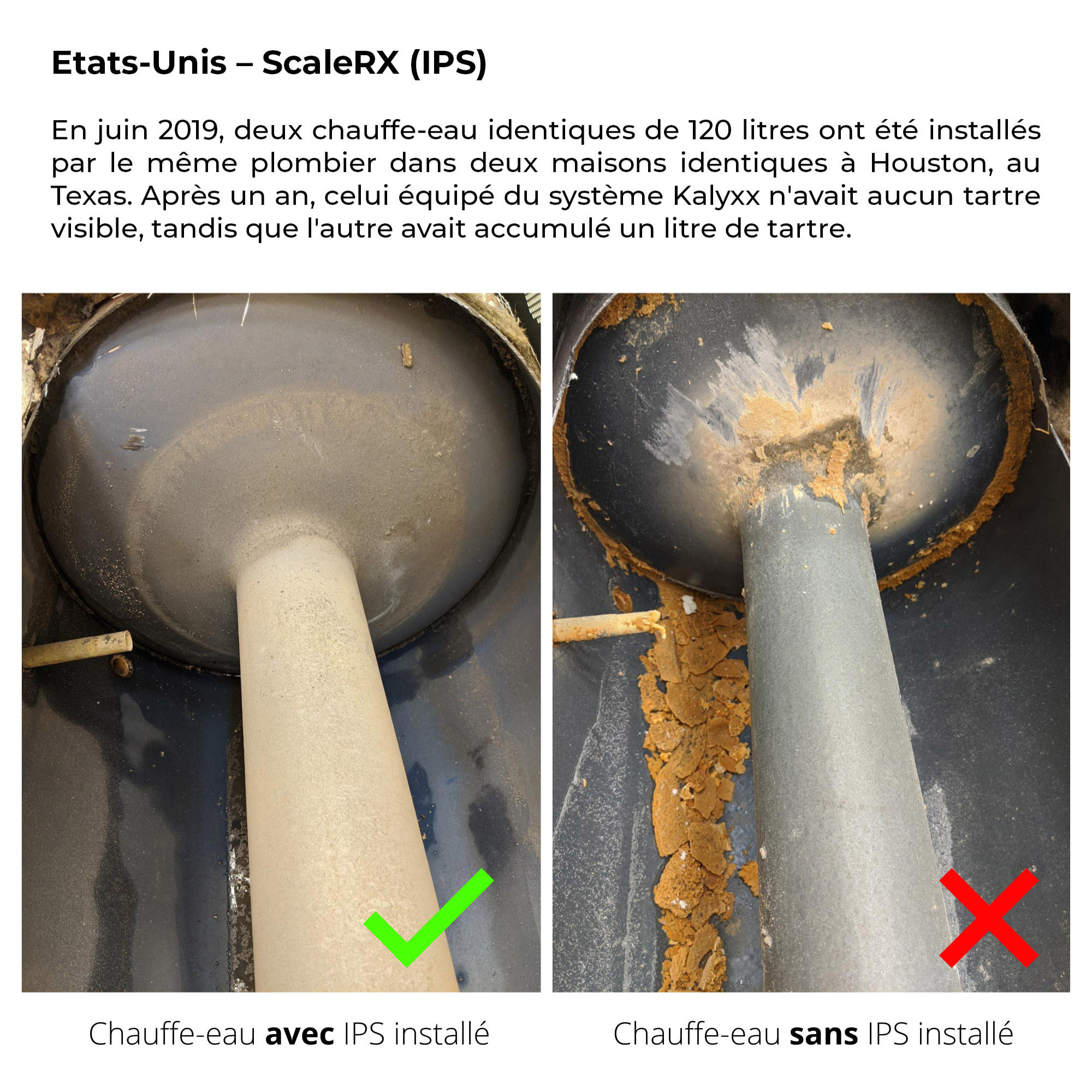 Réducteur de tartre, traitement de l'eau IPS KalyxX - G 1/2 (IPSKXAG12)