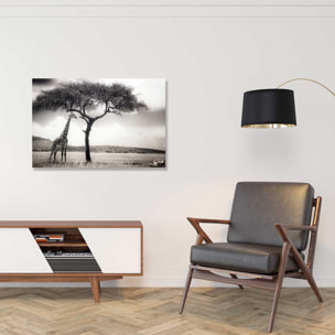 Tableau animaux sous le soleil d' afrique Tableau alu Dibond