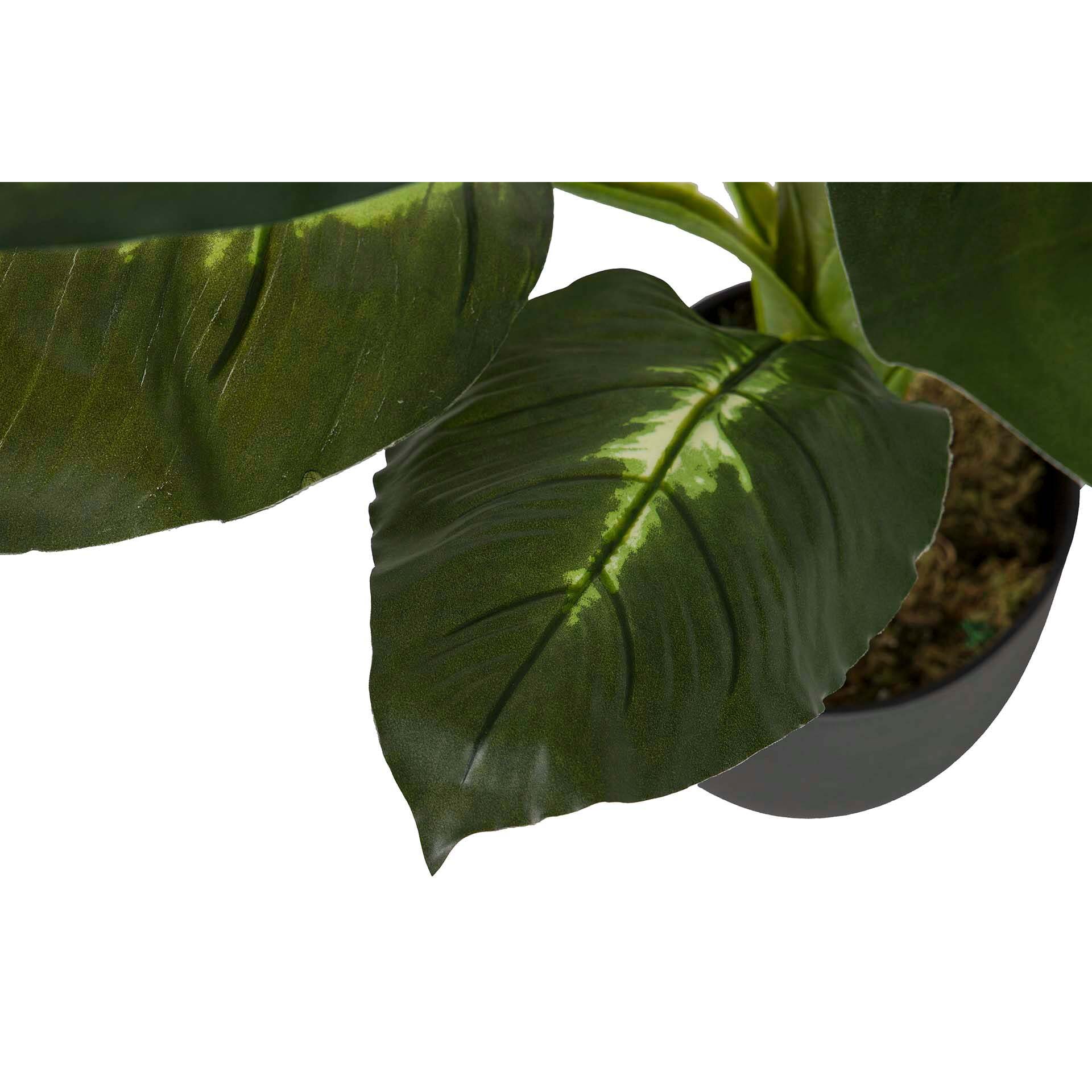 Planta Artificial Dieffenbachia Dotied 55x55x100 Cm
