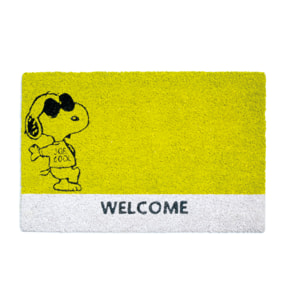 Zerbino 60x40 Excelsa – Peanuts, Fibra di Cocco Verde