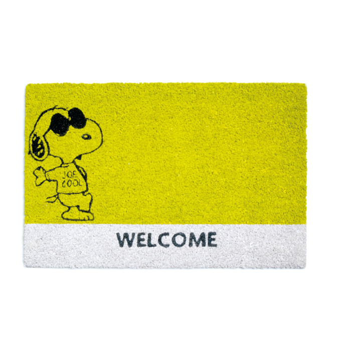 Zerbino 60x40 Excelsa – Peanuts, Fibra di Cocco Verde