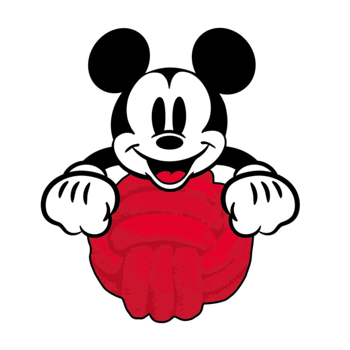 Juguete de pelota de cuerda para perros diseño mickey