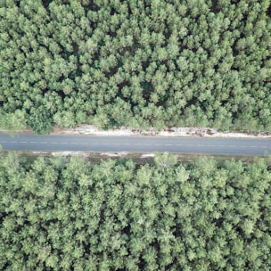 Affiche infinitude de la forêt landaise Affiche sous cadre noir